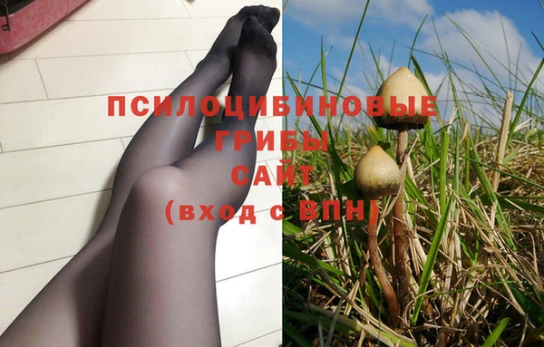 гидропоника Алексеевка