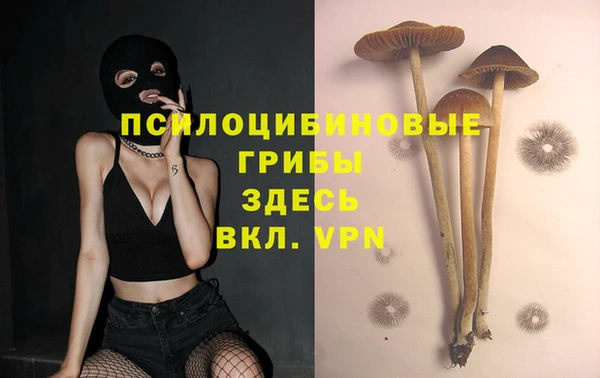 крисы Алексин