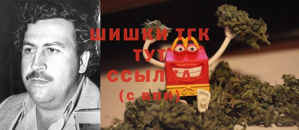 ГАЛЛЮЦИНОГЕННЫЕ ГРИБЫ Иннополис