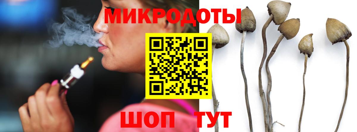 Галлюциногенные грибы прущие грибы  Вход с VPN  Дедовск 
